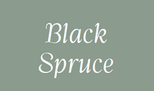 Load image into Gallery viewer, Etiquette NEUTRE- Pack de 2 - Essentials 4 oils