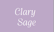 Load image into Gallery viewer, Etiquette NEUTRE- Pack de 2 - Essentials 4 oils