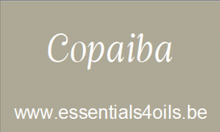 Load image into Gallery viewer, Etiquette PERSONALISABLE- Pack de 3 - Essentials 4 oils