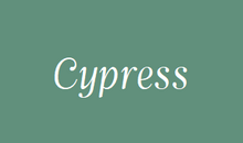 Load image into Gallery viewer, Etiquette NEUTRE- Pack de 2 - Essentials 4 oils