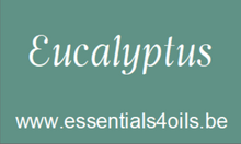 Load image into Gallery viewer, Etiquette PERSONALISABLE- Pack de 3 - Essentials 4 oils