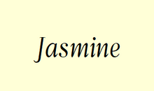 Load image into Gallery viewer, Etiquette NEUTRE- Pack de 3 - Essentials 4 oils