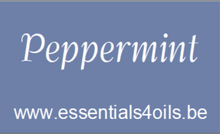 Load image into Gallery viewer, Etiquette PERSONALISABLE- Pack de 3 - Essentials 4 oils