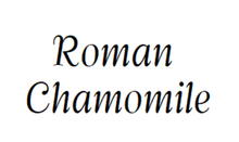 Load image into Gallery viewer, Etiquette NEUTRE- Pack de 2 - Essentials 4 oils