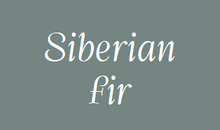 Load image into Gallery viewer, Etiquette NEUTRE- Pack de 2 - Essentials 4 oils