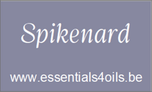 Load image into Gallery viewer, Etiquette PERSONALISABLE- Pack de 3 - Essentials 4 oils