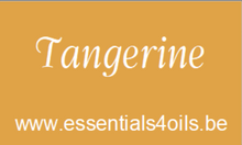 Load image into Gallery viewer, Etiquette PERSONALISABLE- Pack de 3 - Essentials 4 oils