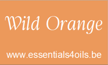 Load image into Gallery viewer, Etiquette PERSONALISABLE- Pack de 3 - Essentials 4 oils