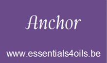 Load image into Gallery viewer, Etiquette - Pack de 4 - Essentials 4 oils
