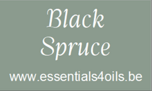 Load image into Gallery viewer, Etiquette PERSONALISABLE- Pack de 2 - Essentials 4 oils
