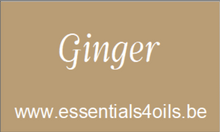 Charger l&#39;image dans la galerie, Etiquette PERSONALISABLE- Pack de 4 - Essentials 4 oils
