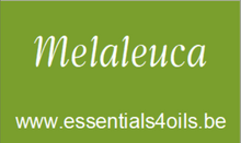 Load image into Gallery viewer, Etiquette PERSONALISABLE- Pack de 4 - Essentials 4 oils
